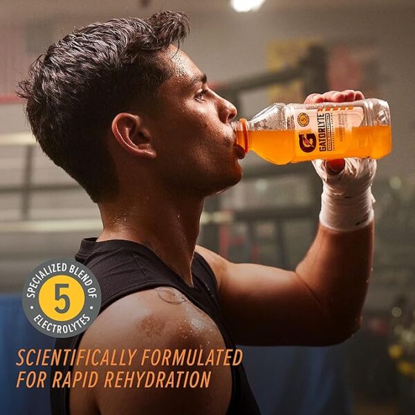 Gatorlyte Rapid Rehydration Electrolyte Beverage, 3 Flavor Variety Pack, 20 Fl Oz (Pack of 12) - Image 3